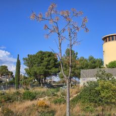 Torres dels Dos Molins