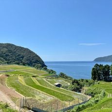 田烏の棚田