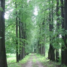 Парк (Подвязье)