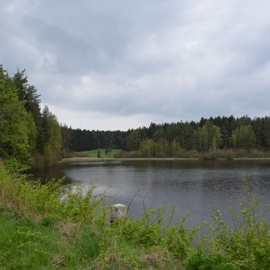 Brutteich und Brutwiesen bei Neuhaus a.d. Eger
