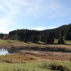 Palu' di Monte Rovere