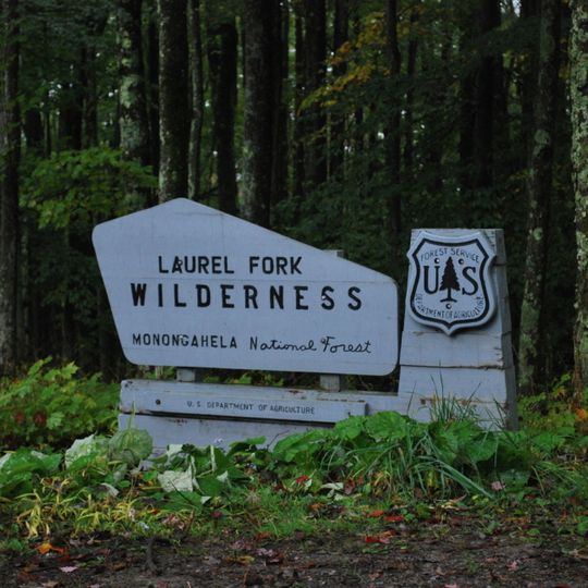 Laurel Fork North Wilderness