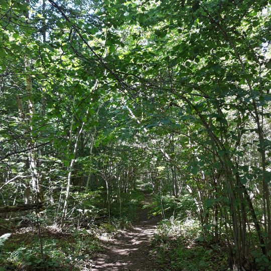 Karkalin Luonnonpuisto