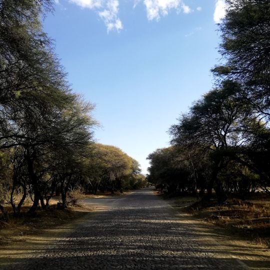 Esteban Arce Province