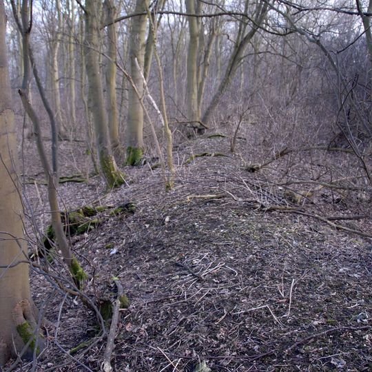 Yarborough Camp large univallate hillfort