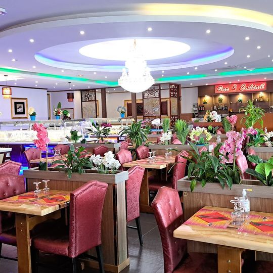 Royal chine