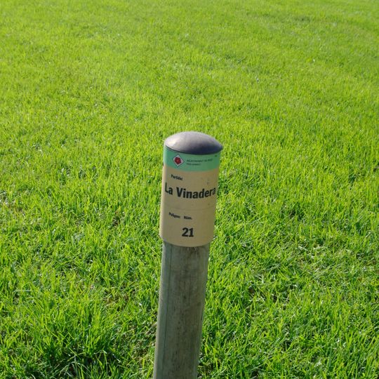 Partida de la Vinadera