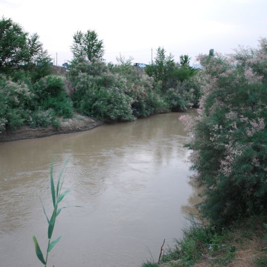 Kalaus
