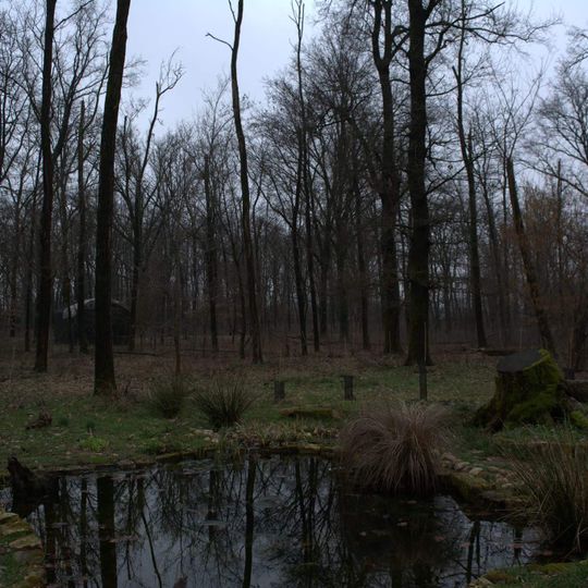 Riserva naturale Bosco WWF di Vanzago