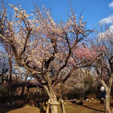 若宮公園