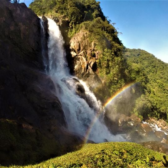 Serra do Mar State Park