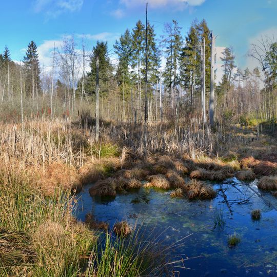 Dornacher Ried mit Häckler Ried, Häckler Weiher und Buchsee