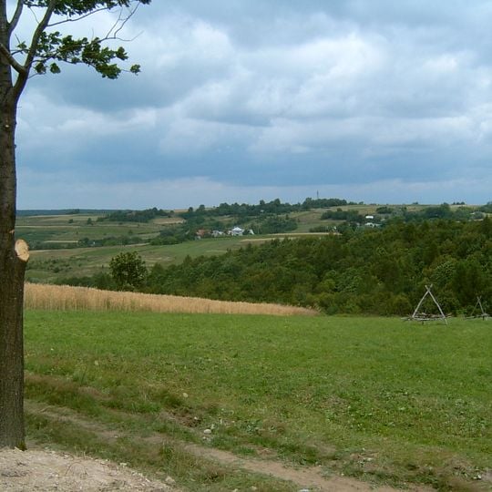 Distretto di Przeworsk