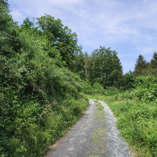 Brexbach- und Saynbachtal