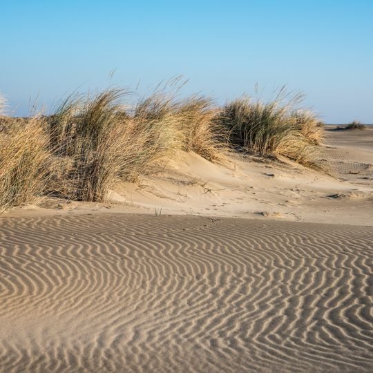 Plage de l'Espiguette