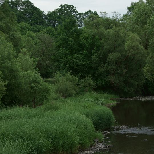 Ederknie am Auhammer bei Battenberg