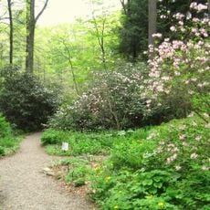 Garden in the Woods