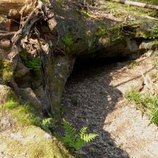 Oldbury rock shelters