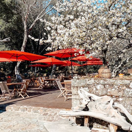 Auberge de la Forêt