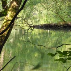 Ehemalige Baggergrube östlich Basedow