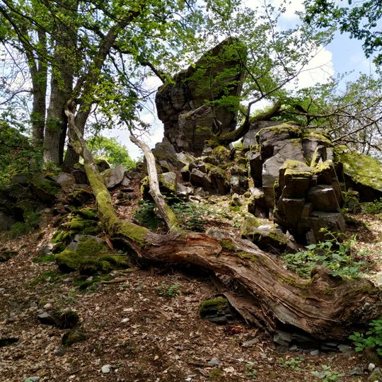 Rossert - Hainkopf - Dachsbau