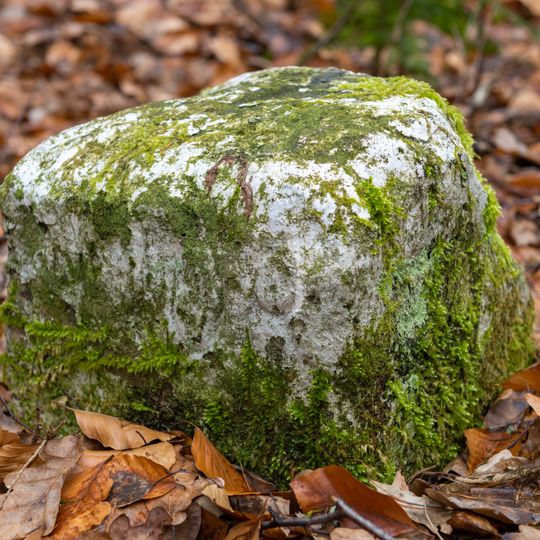 Grenzstein Heilstättenstraße 130 in Zirndorf