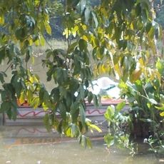 Hazaribagh Wildlife Sanctuary
