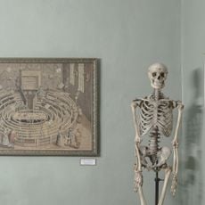 Paula Stradin̦a Medicīnas vēstures muzejs