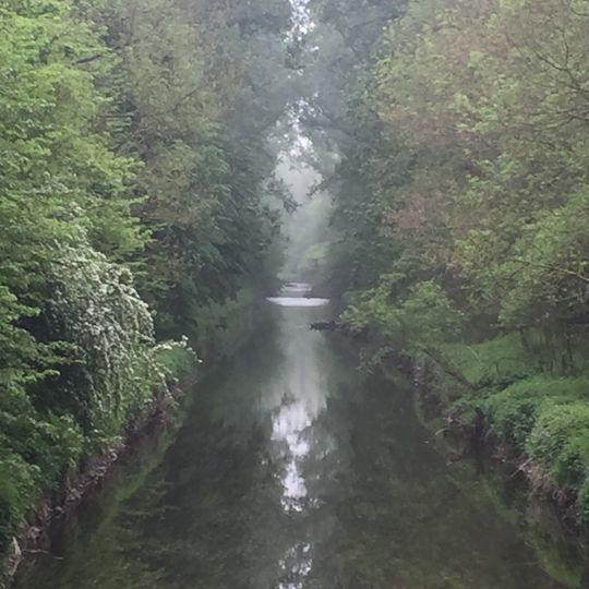 LSG-Erftaue im Umfeld der Auenwaelder Parrig und Kerpener Broich