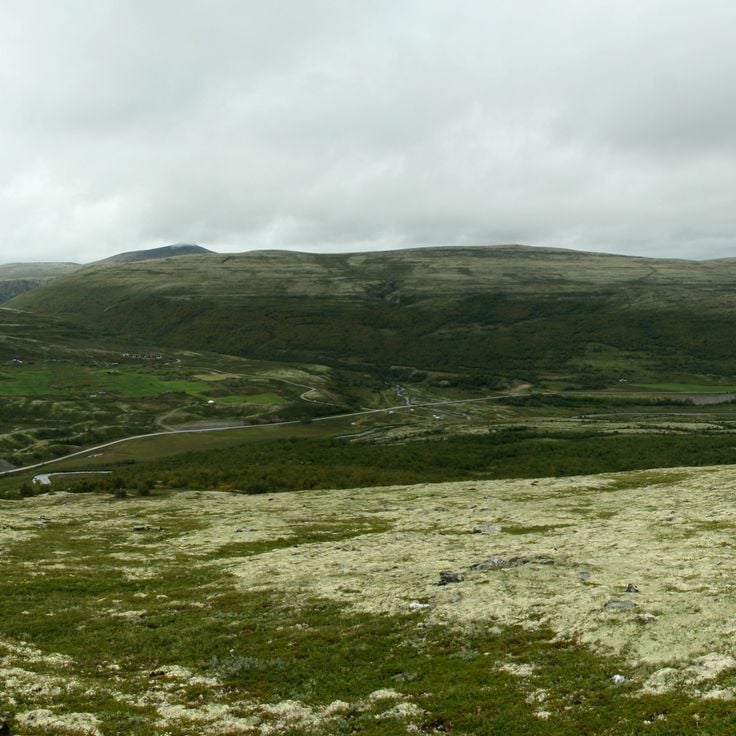 Dovre National Park
