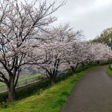泉中央公園