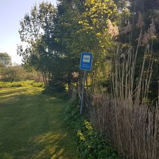 Naturdenkmal Feuchtgebiet Sauerwiesen