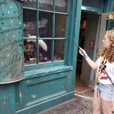 Ollivander's Wand Shop