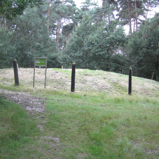 Bronstijdgrafheuvels van Haarterheide