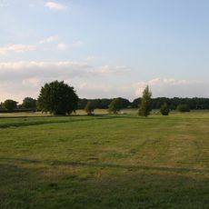 Galleywood Common
