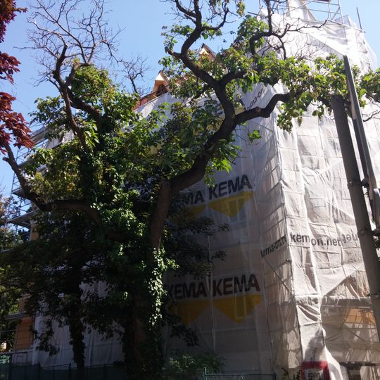 Nájomný dom, úprava sadovnícka