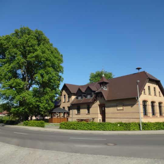 Naturdenkmal Flatterulme Peickwitz