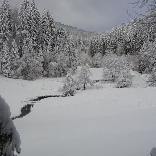 Alter Hagen bei Willingen