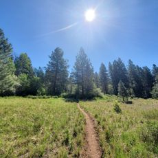 Brooks Memorial State Park