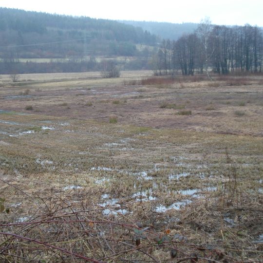 Struth von Altengronau