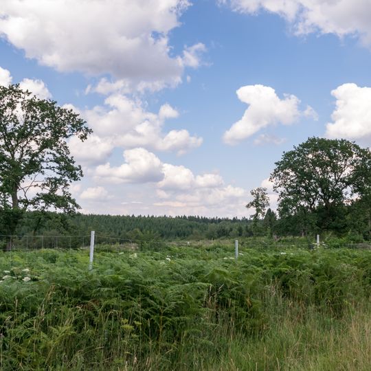 Sauerbachtal Bülheim