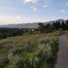 Peets Hill/Burke Park