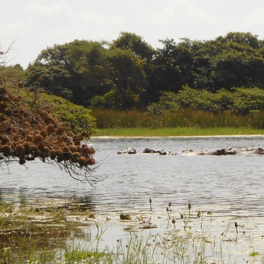 Parco nazionale di Orango Islands