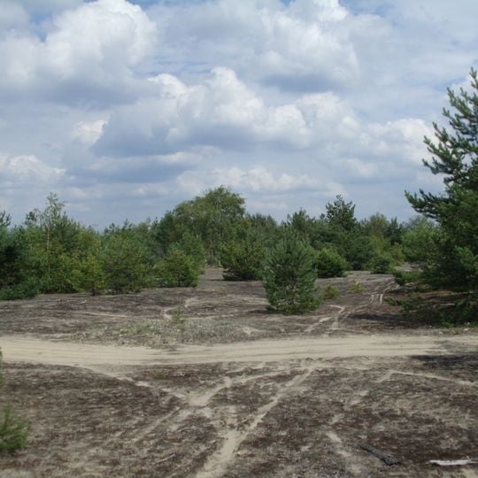 Lieberose Heath