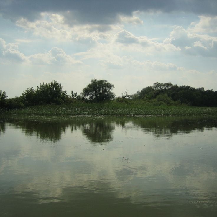 Lake Tisza