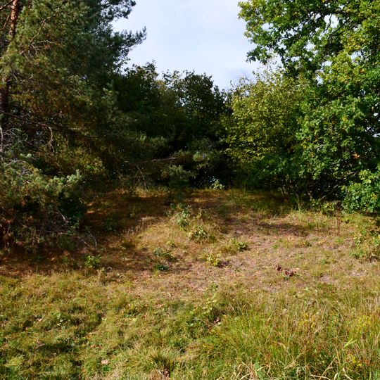 Tetervinų piliakalnis