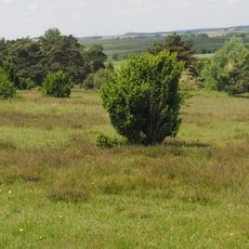 Sandharlander Heide