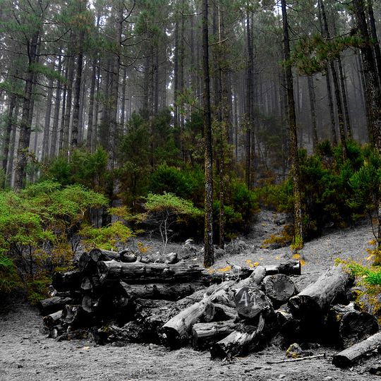 Paisaje protegido de Las Lagunetas