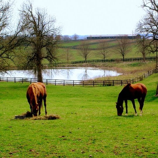 Bluegrass region