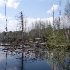 Kulzer Moos NW von Thanstein